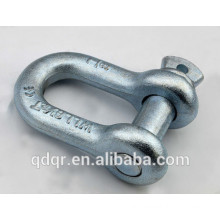 High Tensile Drop Forged Screw Pin D Shackle --Qingdao Rigging